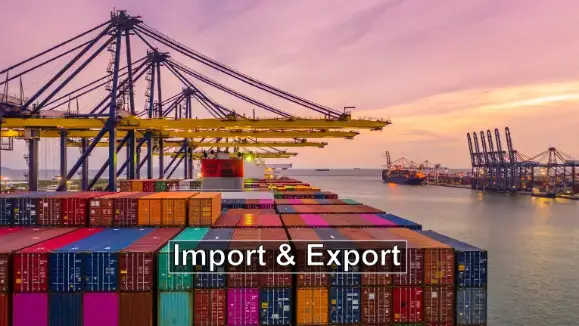 Import & Export mobile
